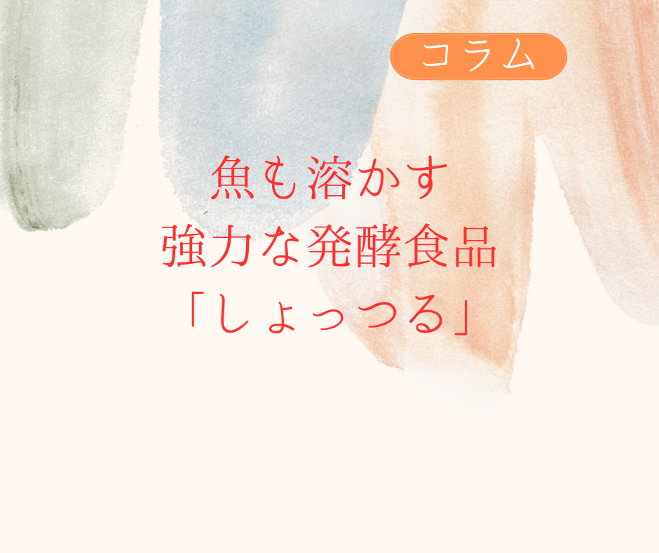 自己消化酵素が働いた強力な発酵食品「しょっつる」
