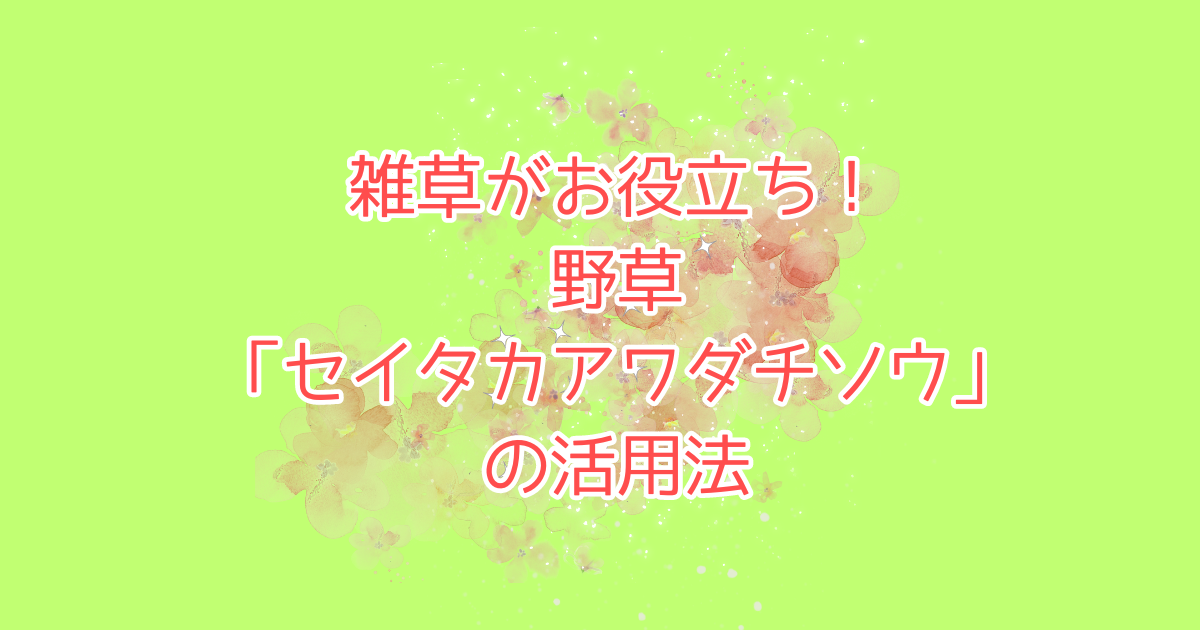 雑草がお役立ち！野草「セイタカアワダチソウ」の活用法